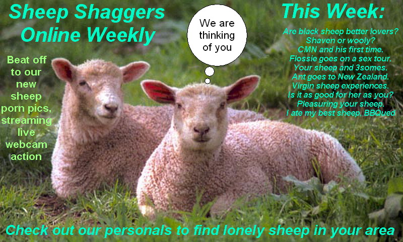 new-zealand-sheep-shagger-793