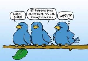 twitter-bird